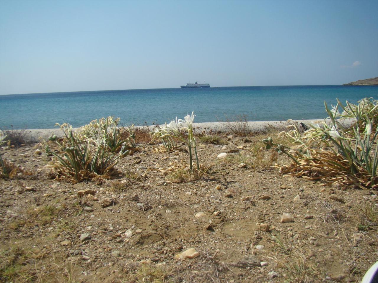 Vrahos Studios كيونيا المظهر الخارجي الصورة